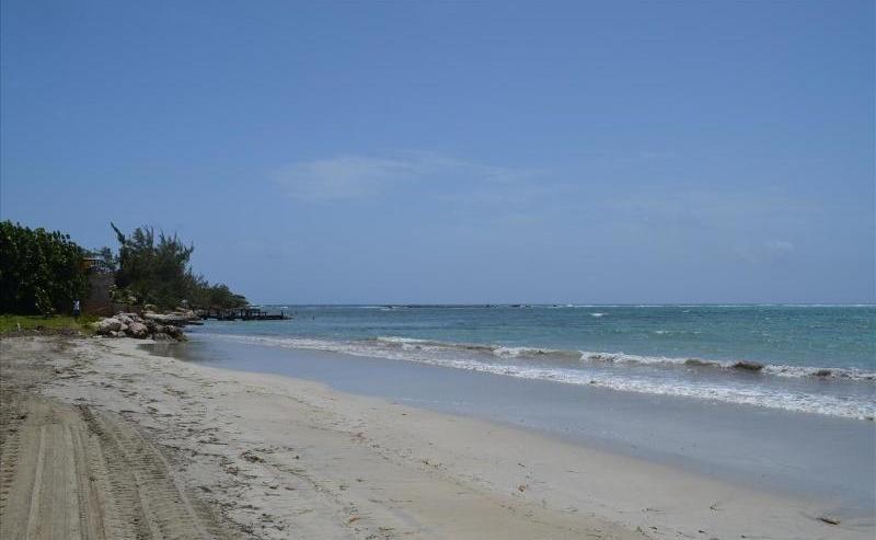 הוילה Ocho Rios Under The Palms מראה חיצוני תמונה