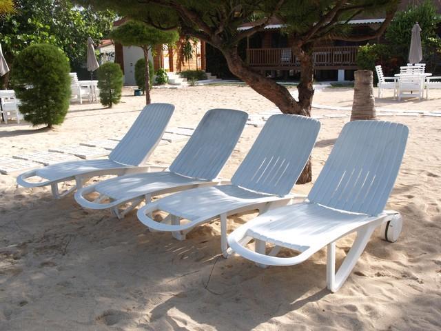 הוילה Ocho Rios Under The Palms מראה חיצוני תמונה