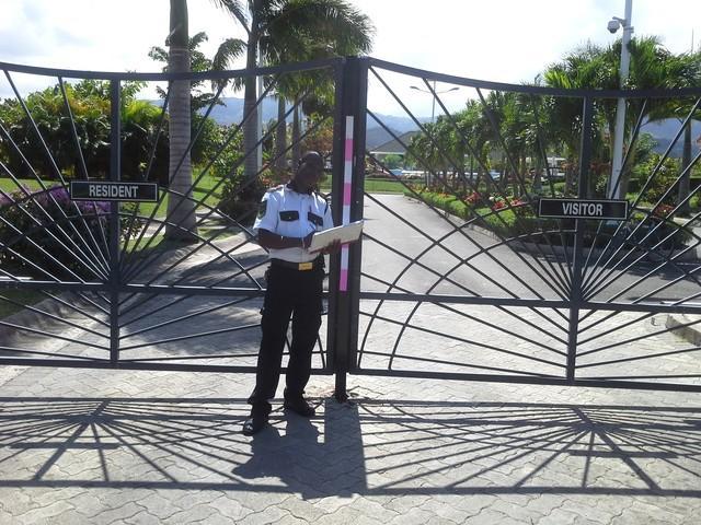 הוילה Ocho Rios Under The Palms מראה חיצוני תמונה
