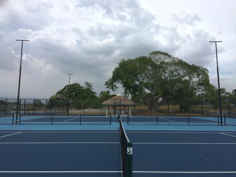 הוילה Ocho Rios Under The Palms מראה חיצוני תמונה