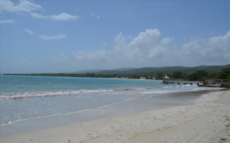 הוילה Ocho Rios Under The Palms מראה חיצוני תמונה